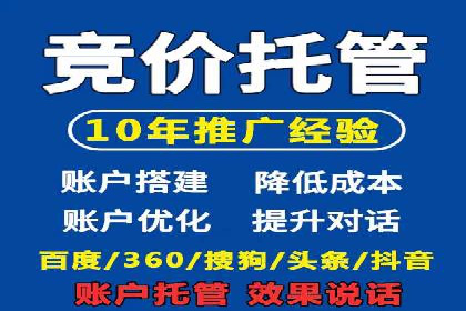 成功SEM托管代运营案例分析